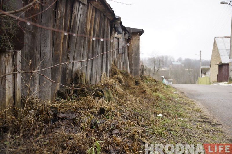 Горват расказаў гродзенцам, чаму “Радзіва не цілівізар”. А яшчэ пра казу і ката