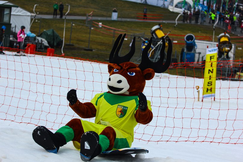 Талісман гродзенскага "Нёмана" Губі выступіў на літоўскім фестывалі: вясёлыя фоты