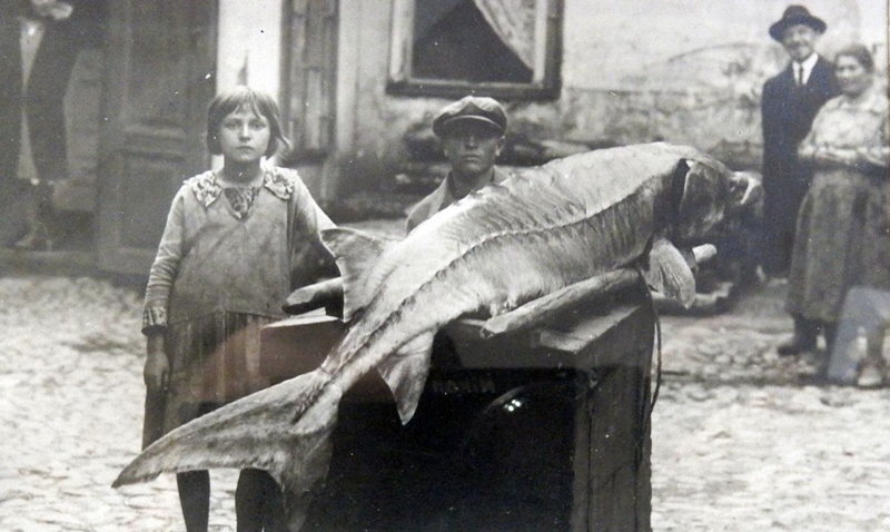 Лавіў нямецкіх шпіёнаў і не толькі. Сталы гродзенец успамінае міжваенны Гродна