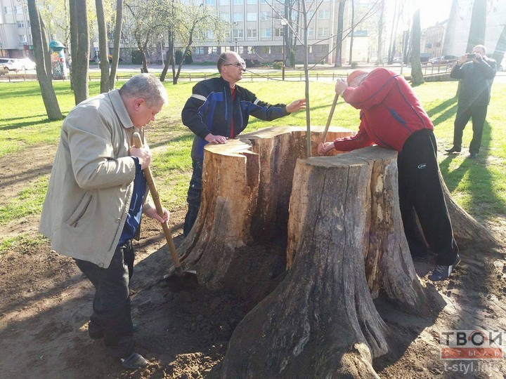 Два года прошло, а скульптура на месте старого ясеня так и не появилась