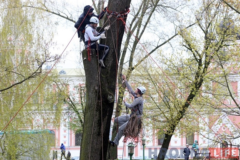 У Швейцарскай даліне адкрыюць вяровачны парк. Абяцаюць не пашкодзіць дрэвы У Швейцарскай даліне адкрыюць вяровачны парк. Абяцаюць не пашкодзіць дрэвы