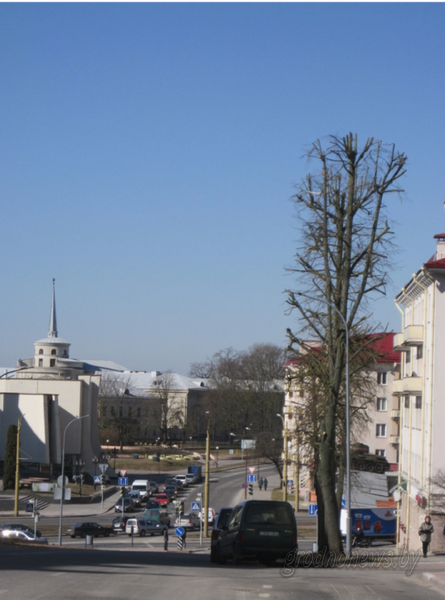 Як ратаваць хворыя дрэвы: "Зелянбуд" з навукоўцамі правядуць эксперымент. Эколаг Лапеха: "Мы білі ў званы яшчэ 4 гады таму" Як ратаваць хворыя дрэвы: "Зелянбуд" з навукоўцамі правядуць эксперымент. Эколаг Лапеха: "Мы білі ў званы яшчэ 4 гады таму"