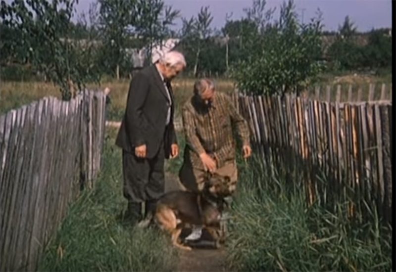 Драўляныя героі "Белых рос" з'явіліся на месцы знесенай вёскі