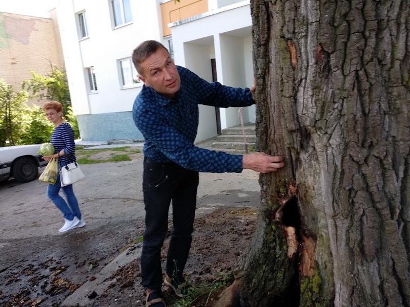 «Хочаце абследаваць? Вы не сябруеце з галавой». У Гродне гарэў стогадовы дуб, дрэва ратаваць не будуць