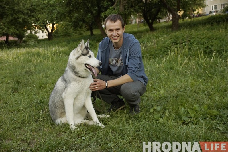 Ці стануць сабакі Гродна сябрамі ЖКГ. Жыхары Дзевятоўкі працягваюць змагацца за пляцоўку для выгула