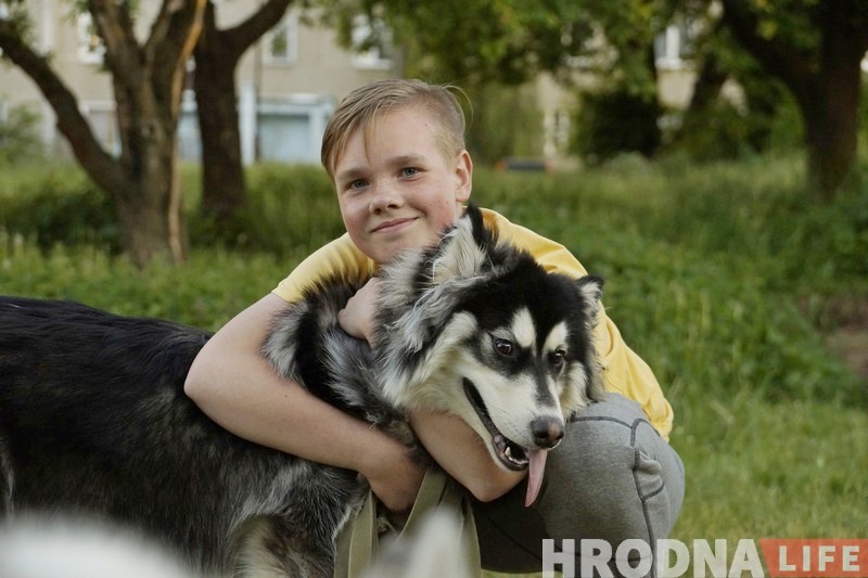 Ці стануць сабакі Гродна сябрамі ЖКГ. Жыхары Дзевятоўкі працягваюць змагацца за пляцоўку для выгула