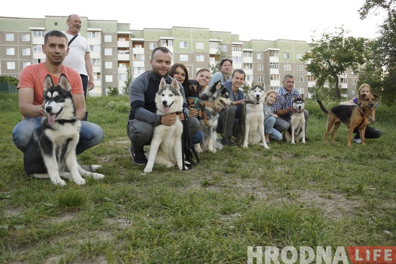 Станут ли собаки Гродно друзьями ЖКХ? Жители Девятовки продолжают бороться за площадку для выгула