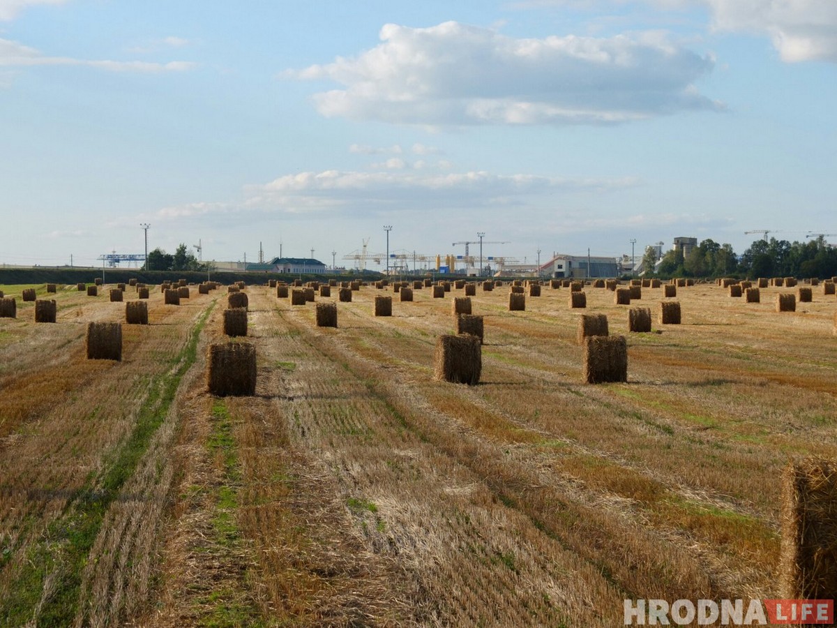 Дакладваем: 7 спосабаў выкарыстаць АЭС, калі яе раптам не дабудуюць