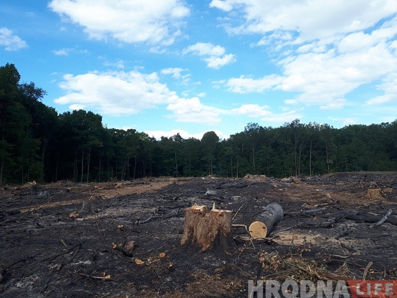 "Не хочам жыць ля могілак". Жыхары Путрышак супраць пашырэння "Аульса"