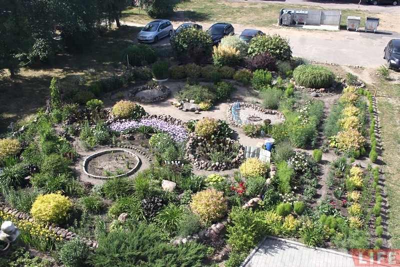 "Дайте воды". Лучшему гродненскому цветнику нужен регулярный полив, хозяйка одна не справляется