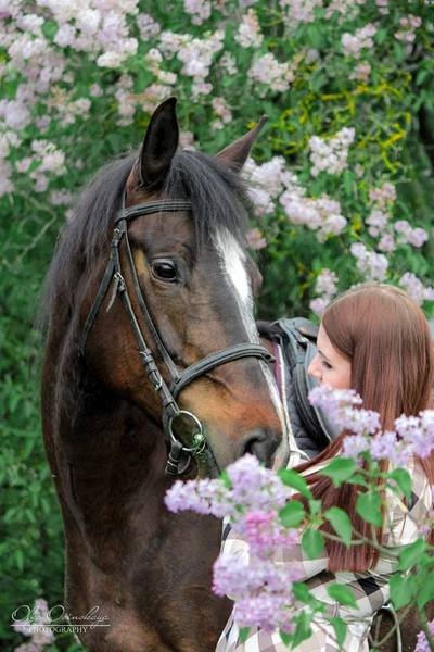 Гродненка собирает деньги на лошадей, чтобы помочь особенным детям