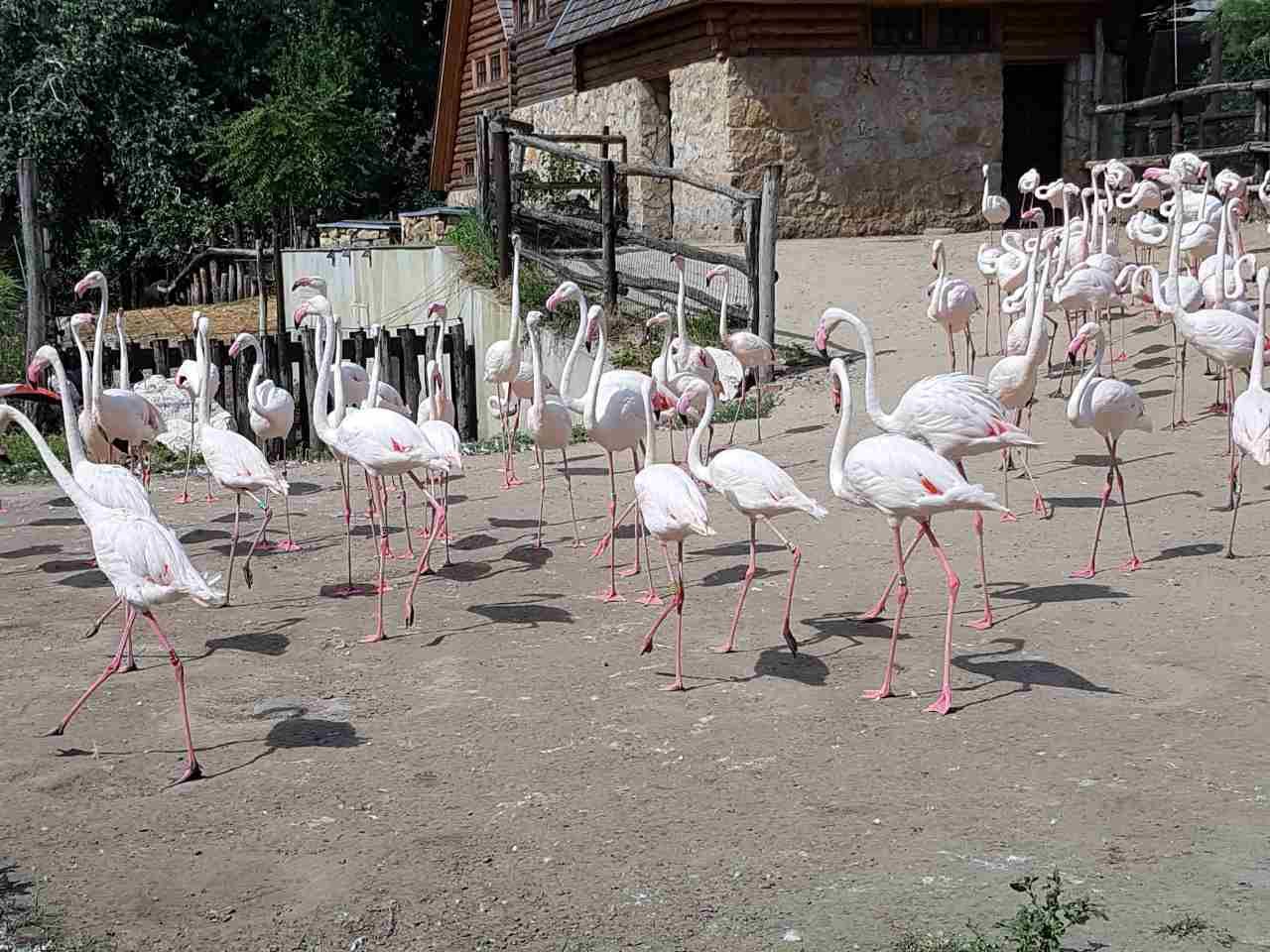 Незабыўнае падарожжа на радзіму антычнай цывілізацыі. Грэцыя запрашае гарадзенцаў!
