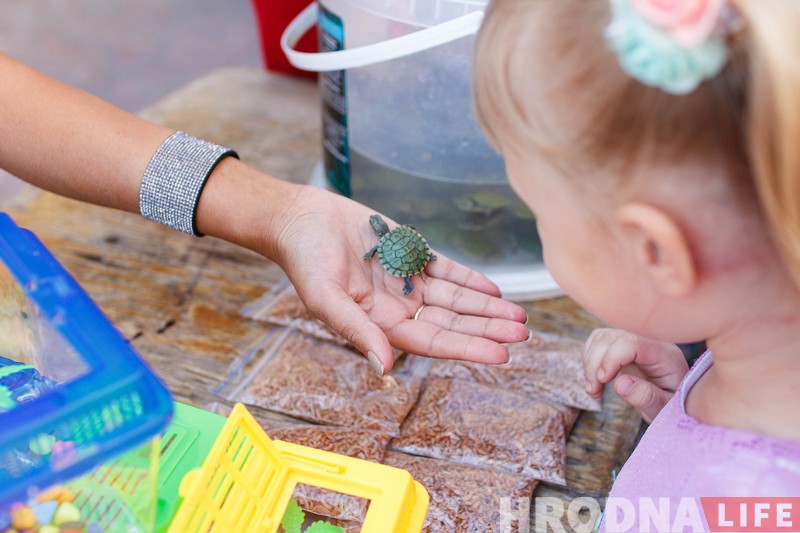 «Больш правільны Гродна». Фатографка паказала фестываль з іншага боку «Больш правільны Гродна». Фатографка паказала фестываль з іншага боку