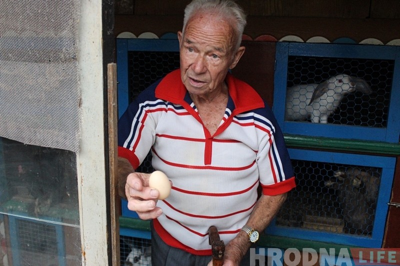 Странная любовь. В Гродно курица подружилась с голубем - и начала нести яйца!