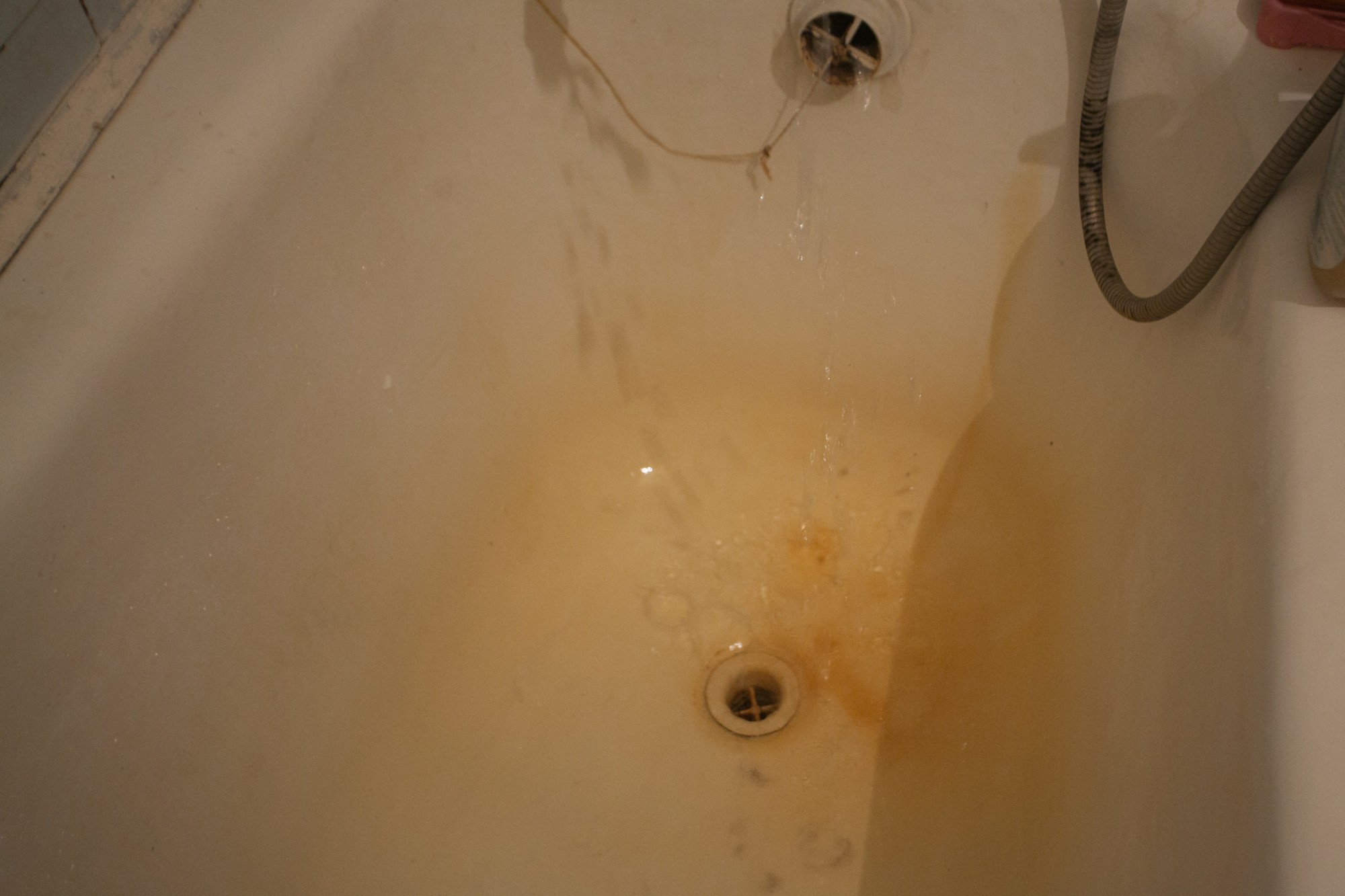 Каровам на ферме у Гродзенскім раёне падключылі лепшую ваду, чым людзям