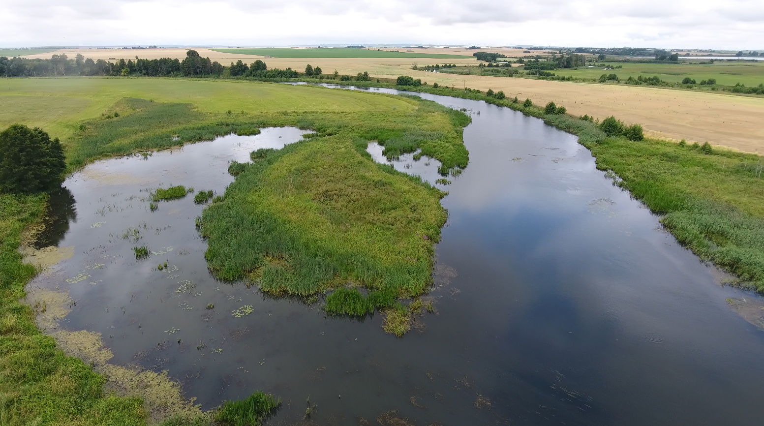"Если за птицами, то вам - сюда". Как гродненский орнитолог посылает всех в болото (+ дрон-видео)