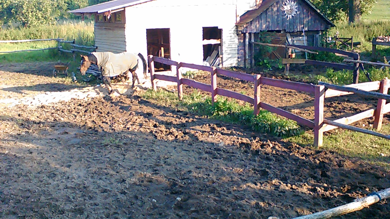 Затапіла кузню, электрастанцыю і стайню. Вёску Рагачы чацвёрты раз за год залівае, а дапамогі няма Затапіла кузню, электрастанцыю і стайню. Вёску Рагачы чацвёрты раз за год залівае, а дапамогі няма