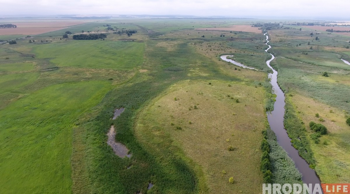 "Калі за птушкамі, то вам - сюды". Як гродзенскі арнітолаг пасылае ўсіх у балота (+дрон-відэа) "Калі за птушкамі, то вам - сюды". Як гродзенскі арнітолаг пасылае ўсіх у балота (+дрон-відэа)