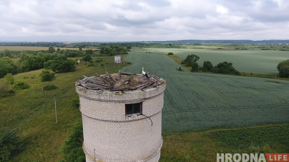 "Если за птицами, то вам - сюда". Как гродненский орнитолог посылает всех в болото (+ дрон-видео)
