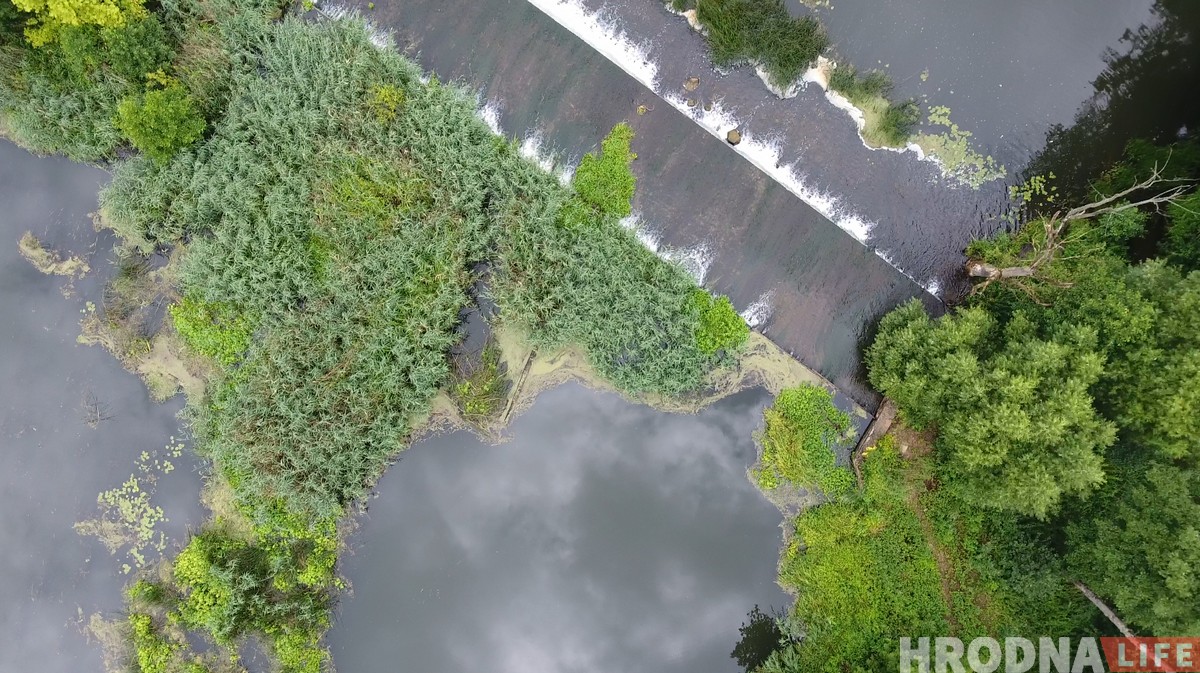 "Калі за птушкамі, то вам - сюды". Як гродзенскі арнітолаг пасылае ўсіх у балота (+дрон-відэа) "Калі за птушкамі, то вам - сюды". Як гродзенскі арнітолаг пасылае ўсіх у балота (+дрон-відэа)