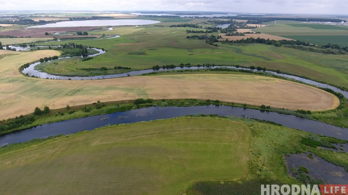 "Если за птицами, то вам - сюда". Как гродненский орнитолог посылает всех в болото (+ дрон-видео)