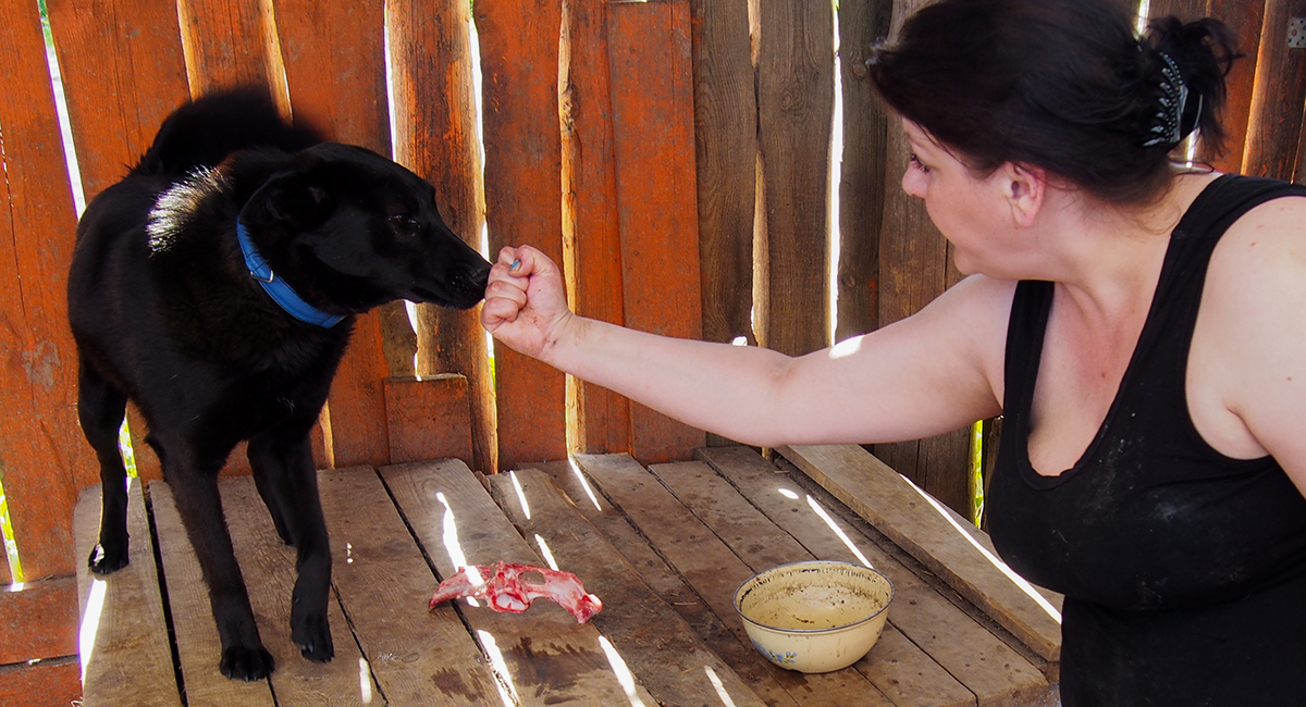 "Собаки интервью не дадут". Фотоистория о жизни приюта для бездомных животных в Гродно