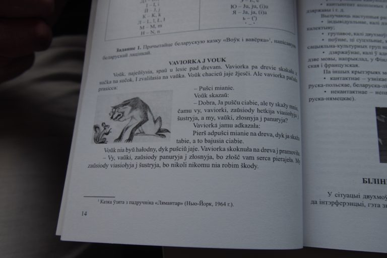 «На дрэвах распусціліся ныркі». Прафесар філалогіі пра асаблівасці беларускай мовы ў медыцыне