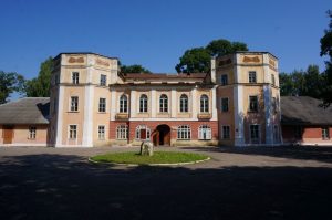 "Кітайскі дэкор і домікі? Гэта пакуль чуткі". Набыць будынак былой медакадэміі можа яшчэ любы ахвотны