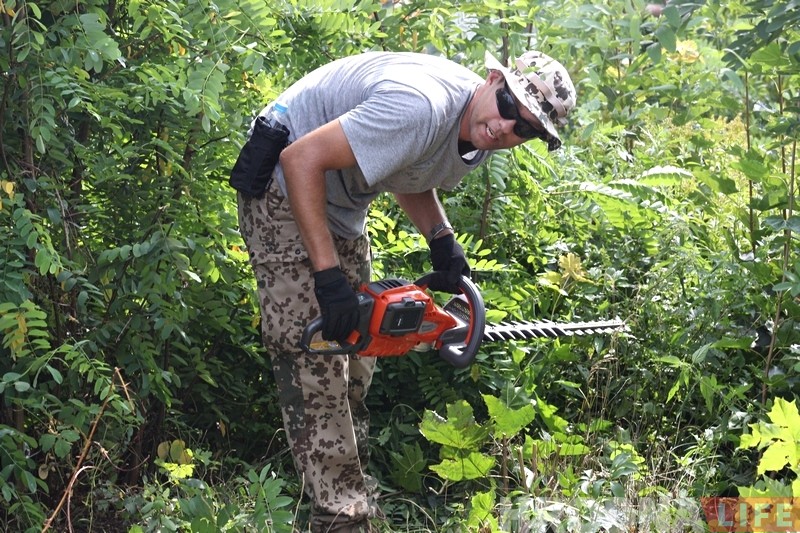 Лайков больше, чем помощи: как обстоят дела с оцифровкой старого некрополя в Гродно