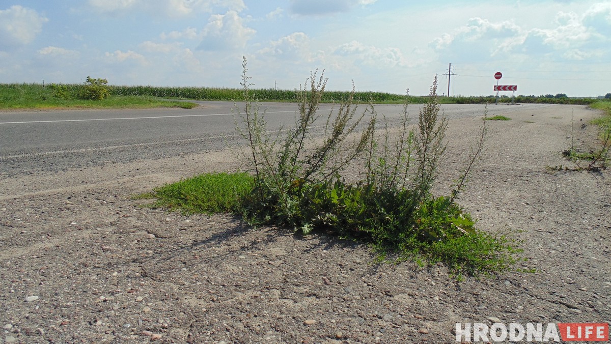 Ад ажыятажу 90-х да амаль пусткі сёння. Як існаваў і амаль знік гродзенскі аўтарынак