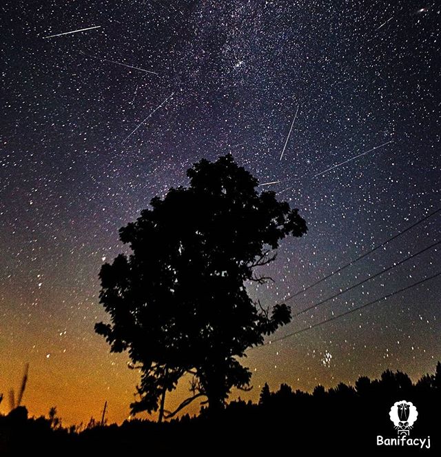 Успей словить звезду, пока август не закончился. Гродненский фотограф делится опытом съемки астропейзажей (+ улётные снимки ночного неба)