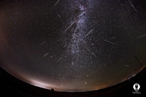 Любіце птушак і фатаграфаваць? Удзельнічайце ў незвычайным чэмпіянаце замест нас