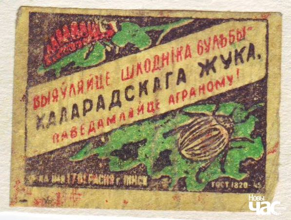 Каларадскі жук як “зброя імперыялістычнай вайны”. Як шкоднік пераможна прайшоў ад акіяну да акіяну