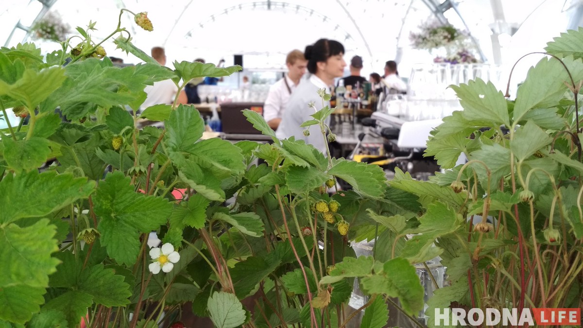 Стары горад як на далоні: на даху ГД «Нёман» адкрылася назіральная пляцоўка і кафэ