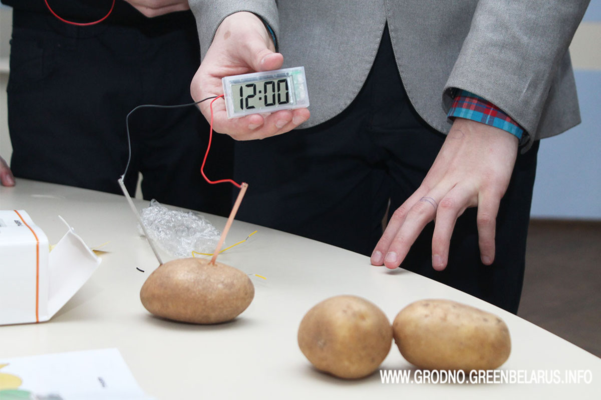 Не толькі бабку. Што яшчэ можна зрабіць з бульбы