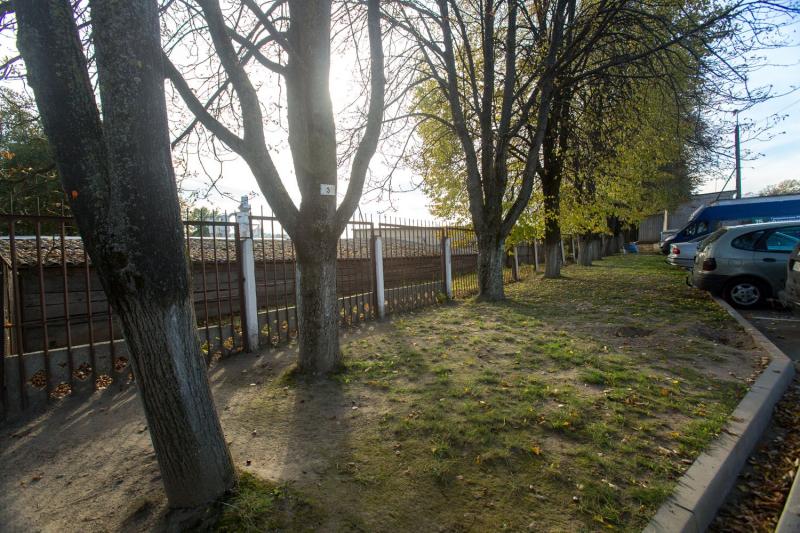 Горе-расширение в Гродно. Под шумок спилили ещё четыре незапланированных дерева