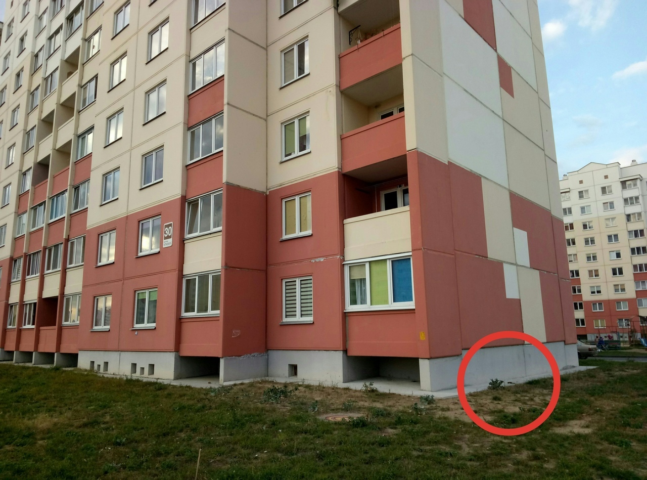 На Альшанцы дзеці кінулі птушку аб сцяну. Зараз іх шукае міліцыя