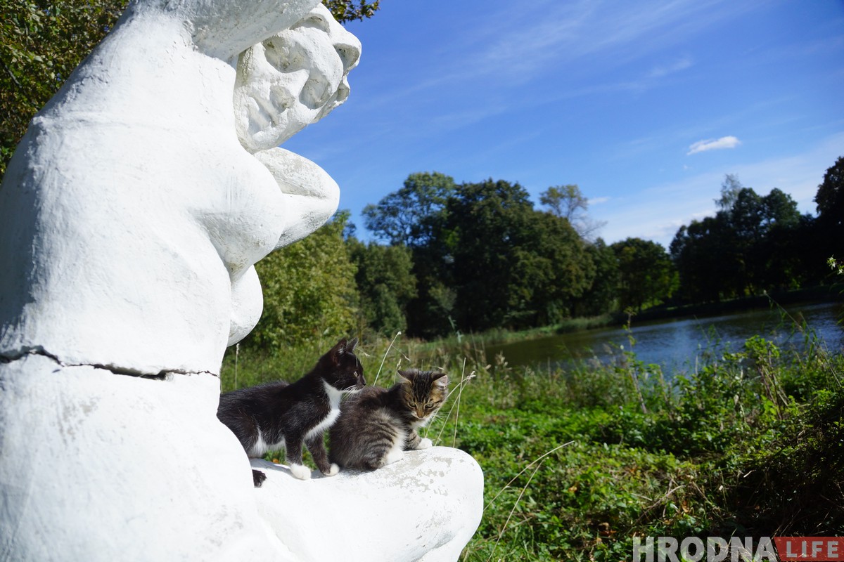Паветраныя замкі і патрыятычныя коцікі. Як актывісты спрабуюць аднавіць палац Храптовічаў у Шчорсах