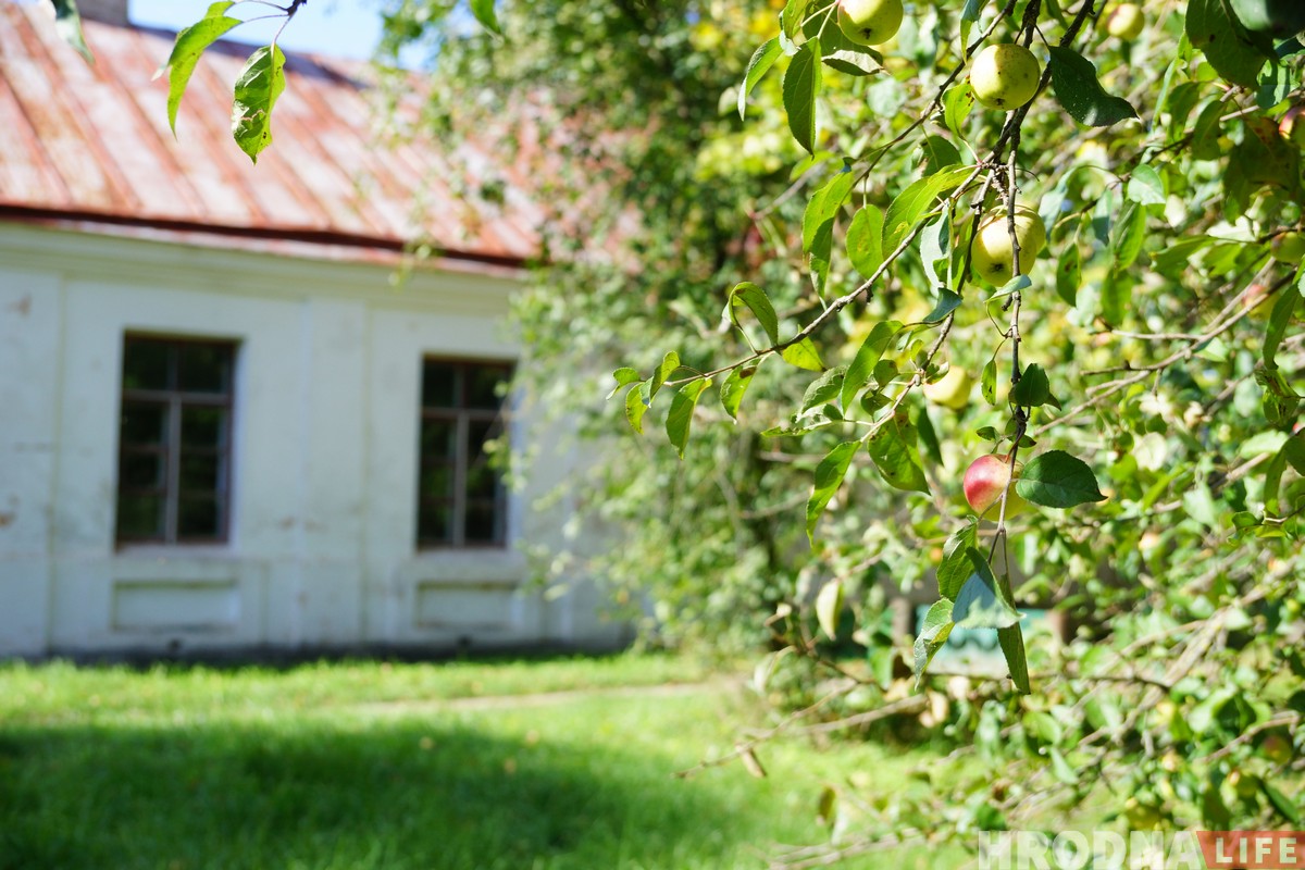 Паветраныя замкі і патрыятычныя коцікі. Як актывісты спрабуюць аднавіць палац Храптовічаў у Шчорсах