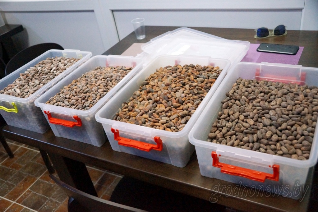 Як лідчане адкрылі сваю майстэрню і гатуюць шакалад са смакам сыру і драўніны Як лідчане адкрылі сваю майстэрню і гатуюць шакалад са смакам сыру і драўніны