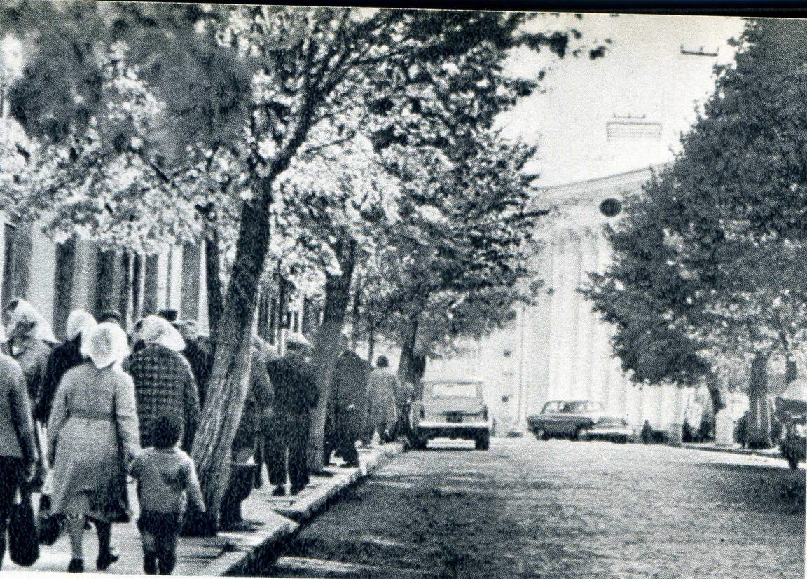 Смотри и плачь! Какой зеленый был Гродно когда-то (а теперь совсем лысый)