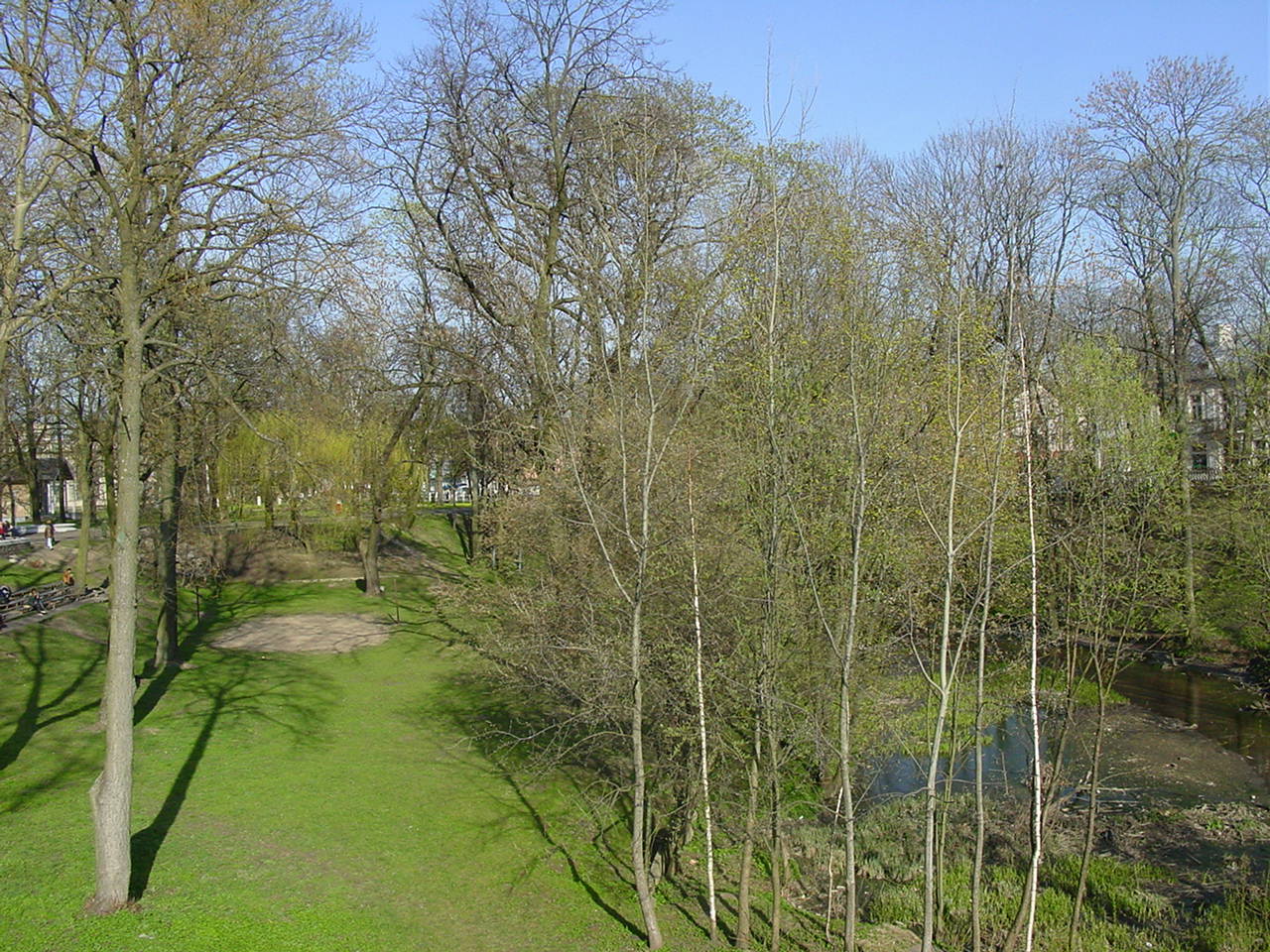 Смотри и плачь! Какой зеленый был Гродно когда-то (а теперь совсем лысый)