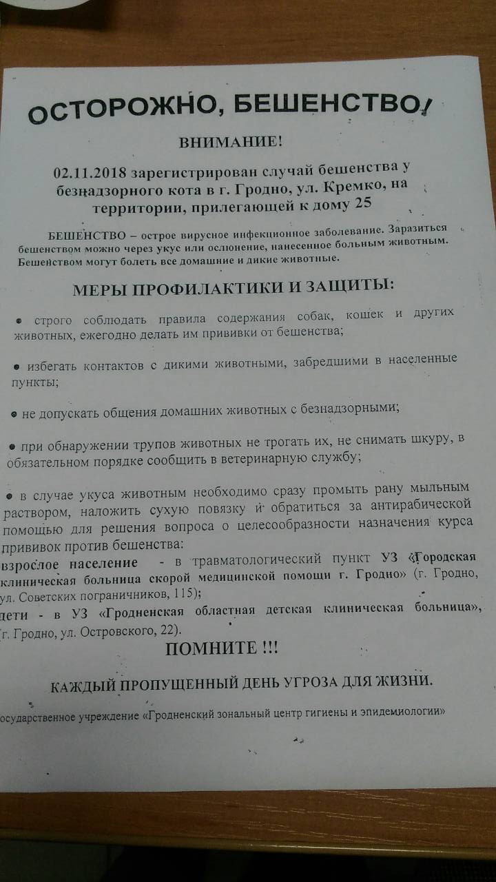 У Гродне зарэгістраваны чарговы выпадак шаленства. Як абараніць сябе?