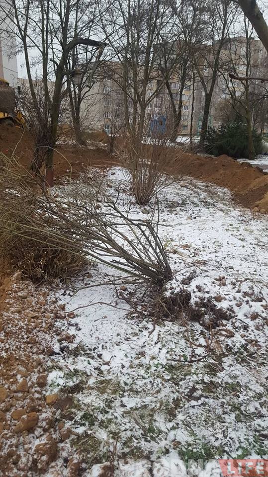 Ва ўзорным гродзенскім двары бульдозерам паўскопвалі клумбы і паламалі дрэвы Ва ўзорным гродзенскім двары бульдозерам паўскопвалі клумбы і паламалі дрэвы