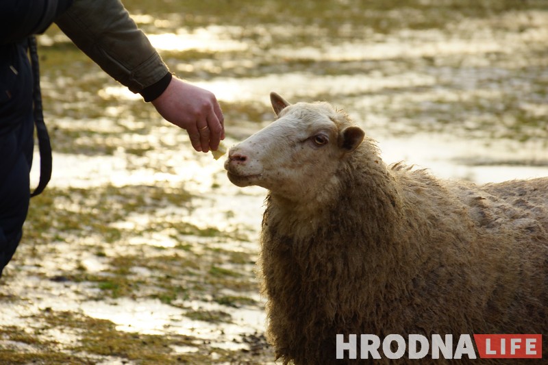 Ад “Мары” да бізнес-інкубатара. Жаночая ініцыятыва з Гродна дапаможа пачаць сваю справу Ад “Мары” да бізнес-інкубатара. Жаночая ініцыятыва з Гродна дапаможа пачаць сваю справу