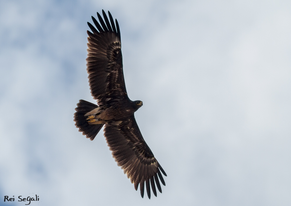 (Не) звычайныя ініцыятывы, якімі актывісты з Гродна зоймуцца і у 2019 годзе