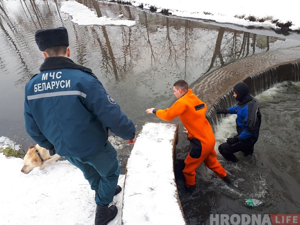 Гродзенскія ратавальнікі выцягнулі з вады яшчэ аднаго сабаку Гродзенскія ратавальнікі выцягнулі з вады яшчэ аднаго сабаку