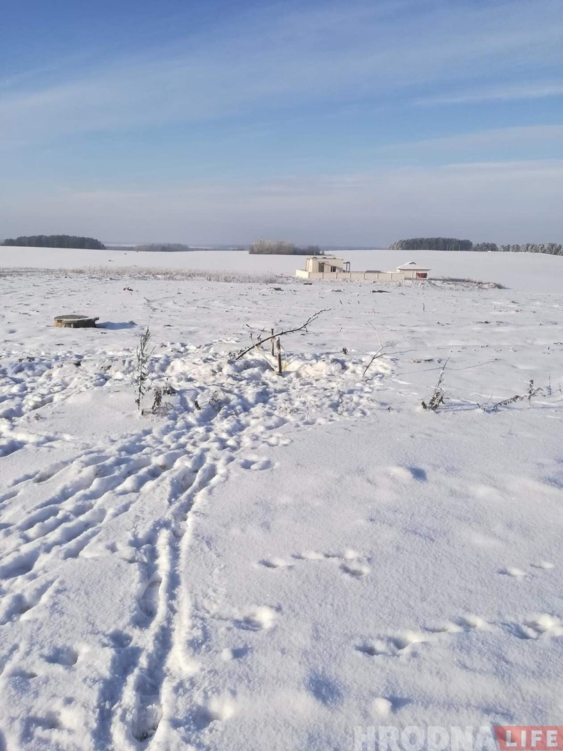 У Гродне яшчэ адзін сабака праваліўся ў адкрыты калодзеж: люкаў не хапае з-за крадзяжоў У Гродне яшчэ адзін сабака праваліўся ў адкрыты калодзеж: люкаў не хапае з-за крадзяжоў