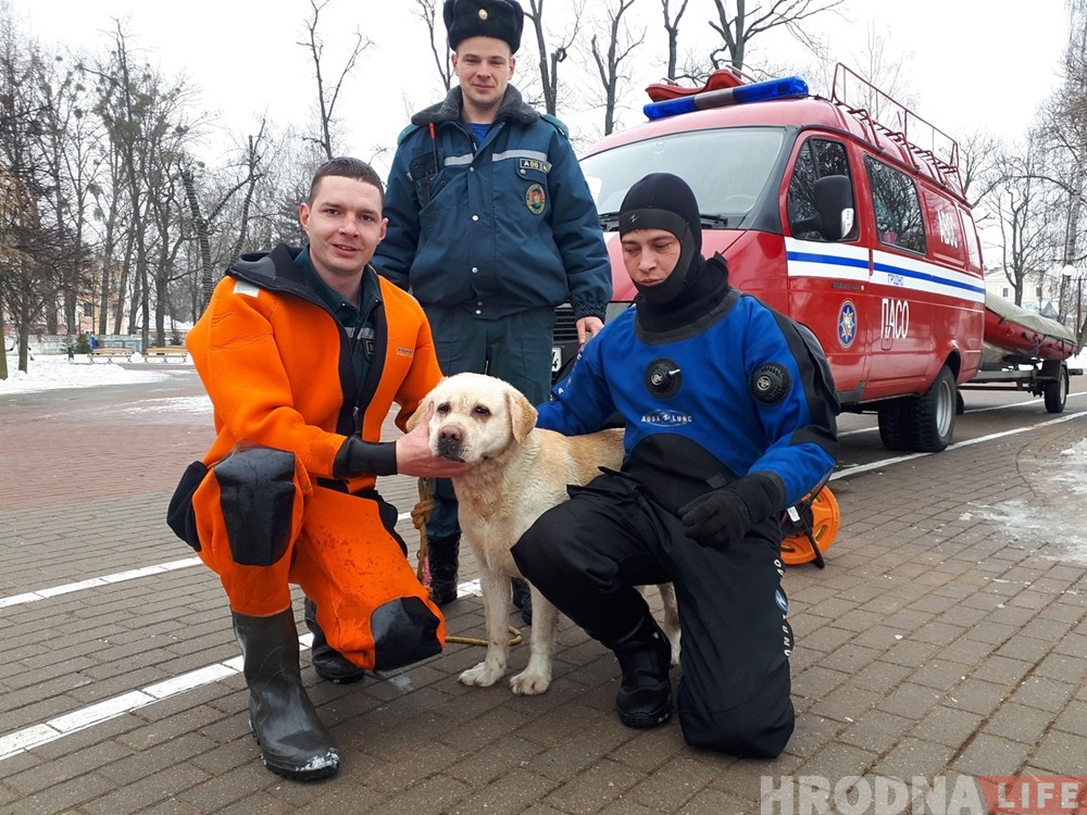 Гродзенскія ратавальнікі выцягнулі з вады яшчэ аднаго сабаку Гродзенскія ратавальнікі выцягнулі з вады яшчэ аднаго сабаку