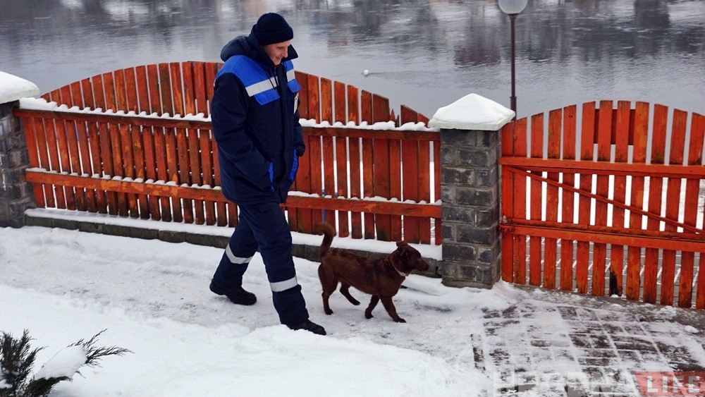 "Оставить в беде не могли". Спасатели рассказали, как снимали с льдины собаку